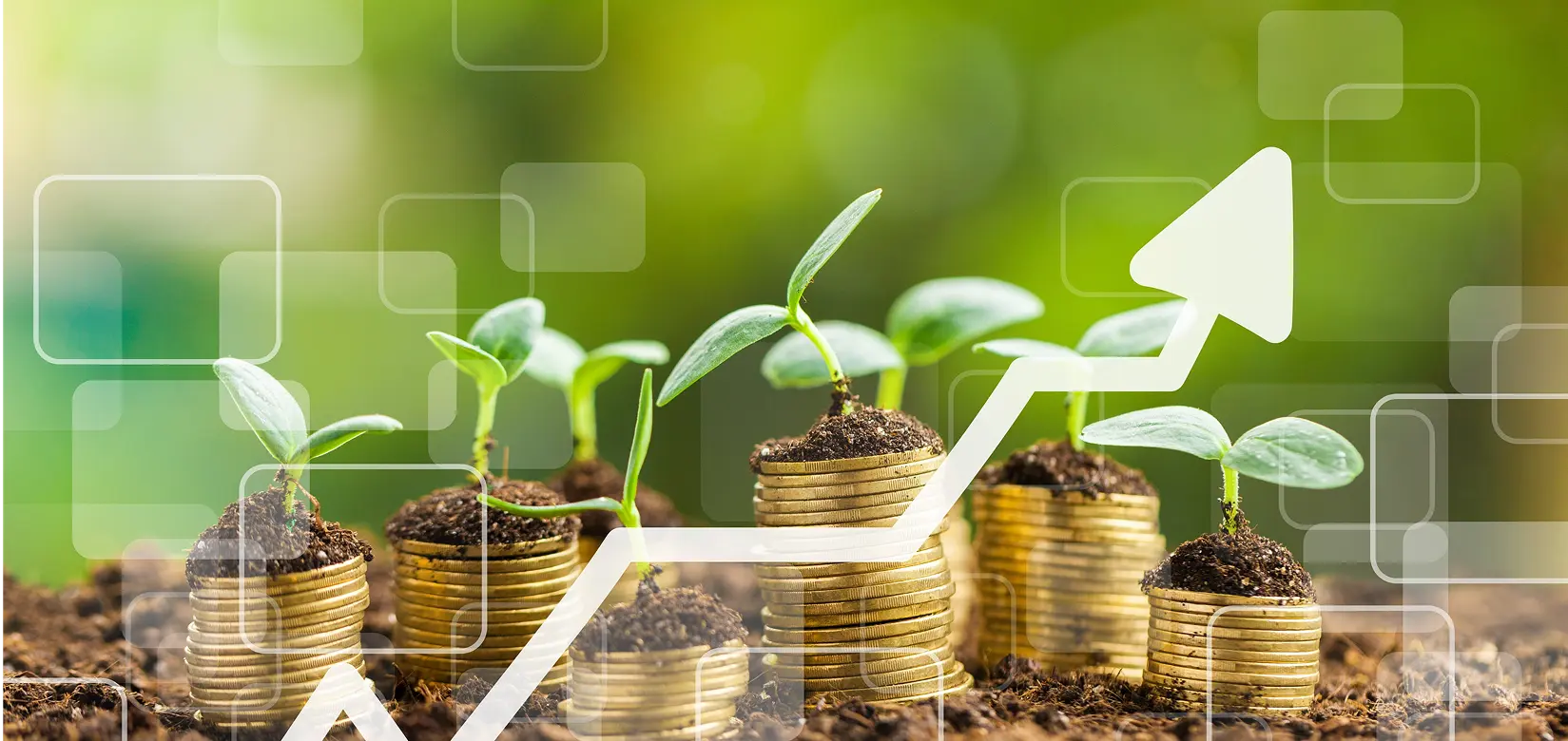 Banking Sector